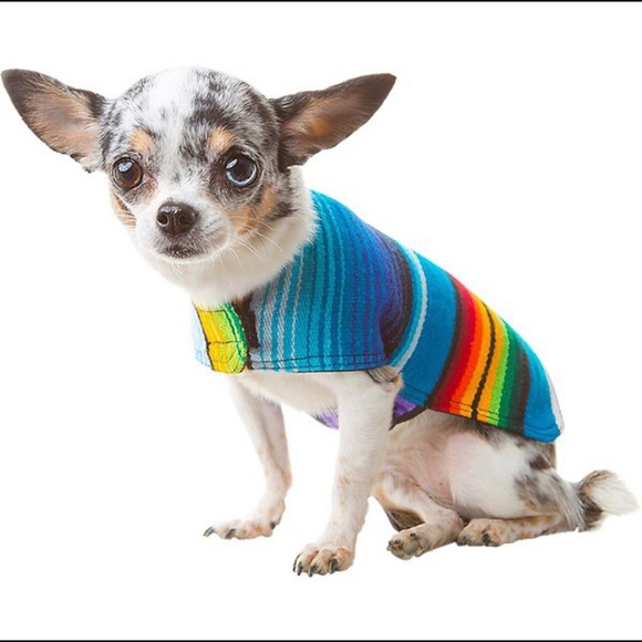 Meet your Posher, Anthony - Picture 1 of 1